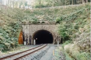 Tunel pod Špičáckým sedlem